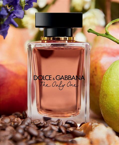 dolce gabbana obsession|macy's Dolce & Gabbana.